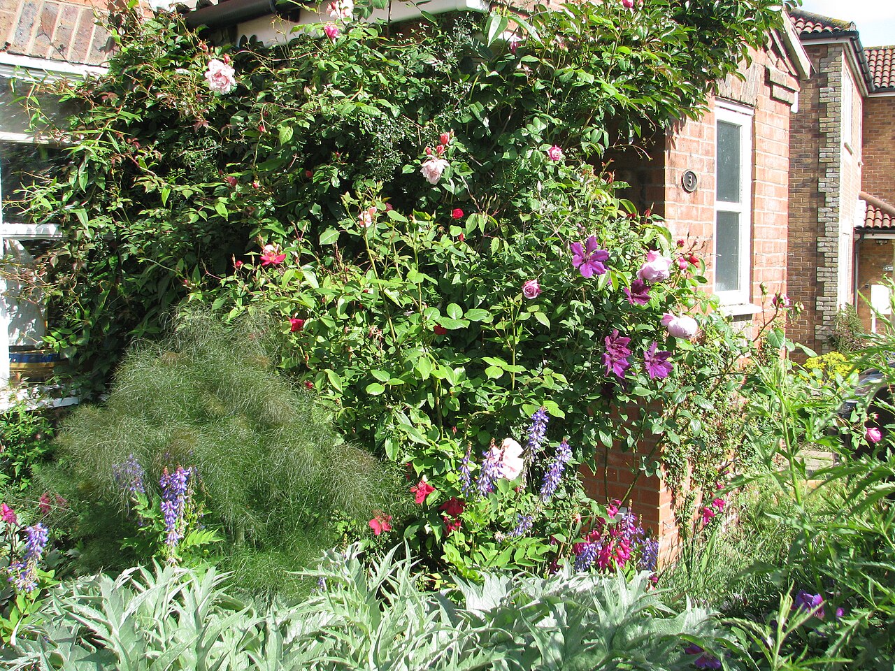 Front door with plants for checking feng shui entrance clearance